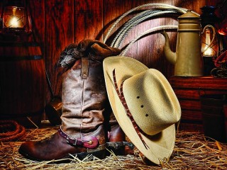 Rätsel «Cowboy boots»