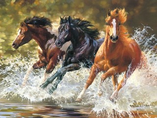 Puzzle «Beautiful horses»