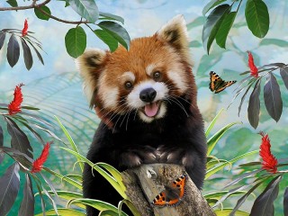 Rätsel «Red Panda»
