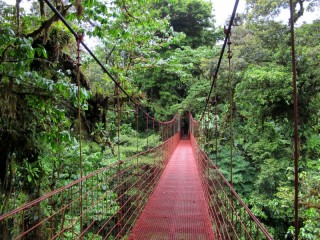 Bulmaca «Red bridge»