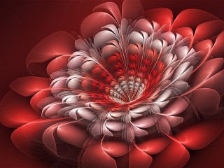 Jigsaw Puzzle «Red flower»