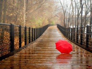 Puzzle «red umbrella»