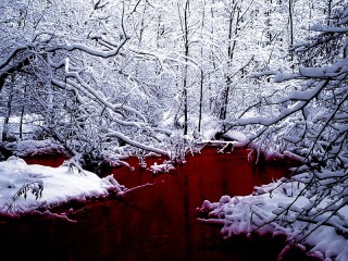 Zagadka «krasnoe ozero»