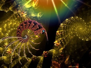 Jigsaw Puzzle «Shrimp and spiral»