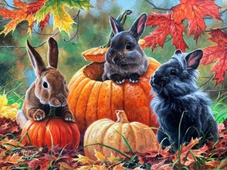 Jigsaw Puzzle «Rabbits and pumpkins»