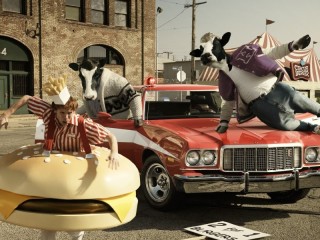 Zagadka «Cool cows»