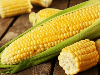 Пазл «Кукуруза»