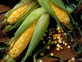 Zagadka «Corn»