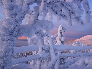 Quebra-cabeça «Lapland»