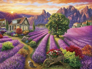 Rompicapo «Lavender fields»