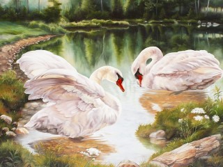 Zagadka «Swans on the lake»