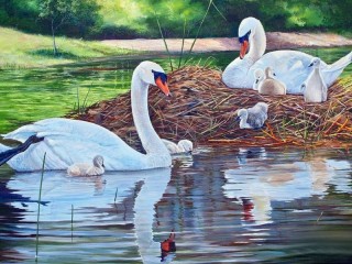 Rompecabezas «swans with chicks»