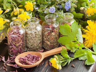 Jigsaw Puzzle «Herbs»