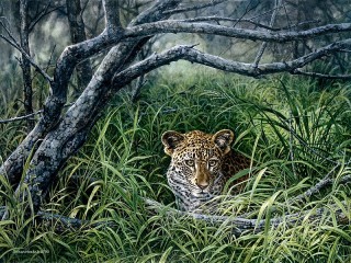 Rätsel «Leopard»