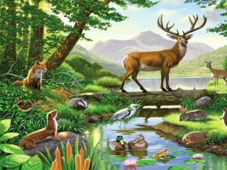 Jigsaw Puzzle «forest fauna»