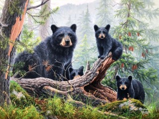 Jigsaw Puzzle «forest family»