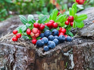 Puzzle «Berries»