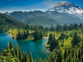 Quebra-cabeça «Forest lake,United States»