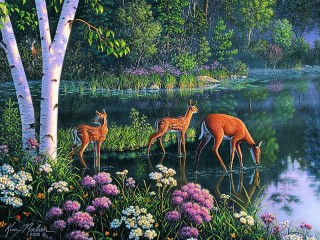 Puzzle «Forest Lake 1»