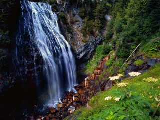 Пазл «Лесной водопад»
