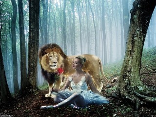 Zagadka «The lion and the ballerina»