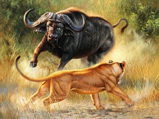 Пазл «Lion and Buffalo»