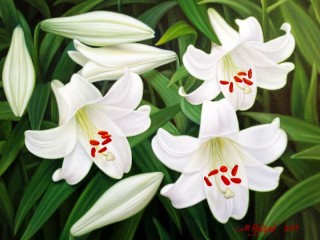 Jigsaw Puzzle «Lilies»