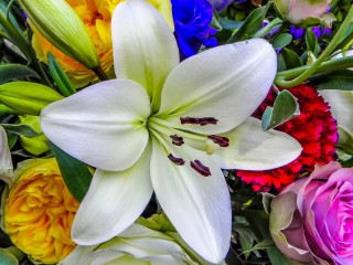 Quebra-cabeça «Lily among flowers»