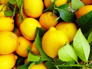 Пазл «Lemons»