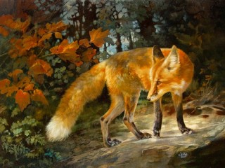 Jigsaw Puzzle «Fox in the forest»