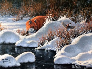 Zagadka «Fox on the hunt»