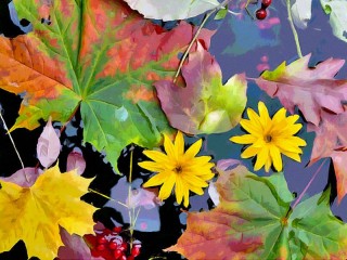 Puzzle «Leaves and flowers»
