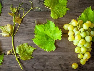 Слагалица «Leaves and grapes»