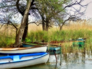 Пазл «Лодки под деревьями»