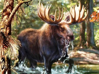 Пазл «Elk»