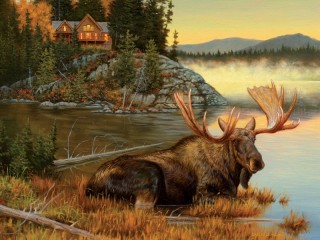 Quebra-cabeça «Moose by the river»