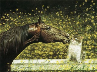 Пазл «Лошадь и котенок»