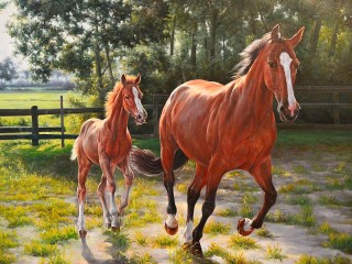 Jigsaw Puzzle «The horse and foal»