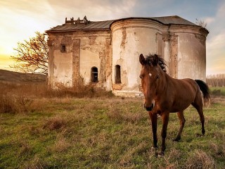 Слагалица «The horse at the building»