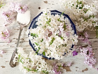 Jigsaw Puzzle «Spoon and lilac»