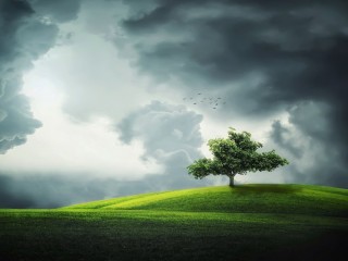 Rätsel «Meadow and cloudy sky»