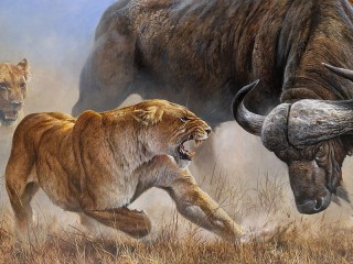 Пазл «Львы и буйвол»