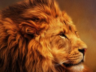 Rätsel «Lion