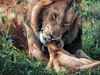 Пазл «Львица и малыш»