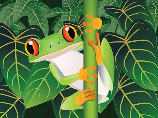 Jigsaw Puzzle «Frog»
