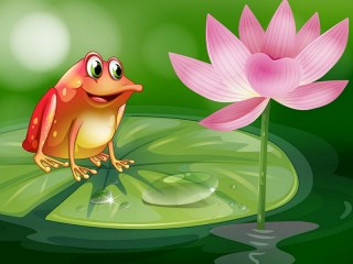 Пазл «Frog and lotus»