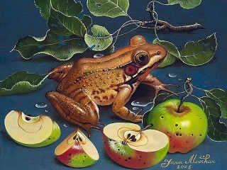 Пазл «Лягушка и яблоки»