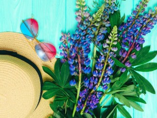 Слагалица «Lupins and hat»