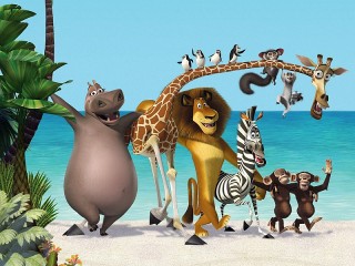 Puzzle «Madagascar»