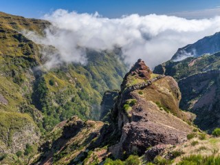 Zagadka «Madeira»